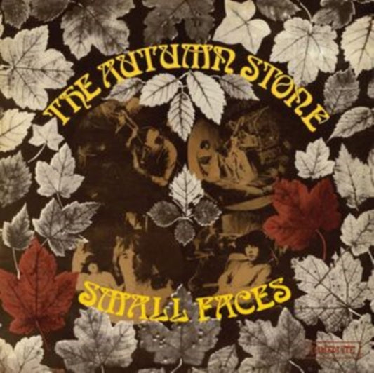 Autumn Stone