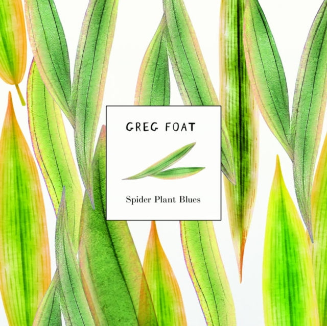 This 7 Inch Vinyl is brand new.Format: 7 Inch VinylThis item's title is: Spider Plant BluesArtist: Greg FoatBarcode: 5063431667490Release Date: 5/31/2024