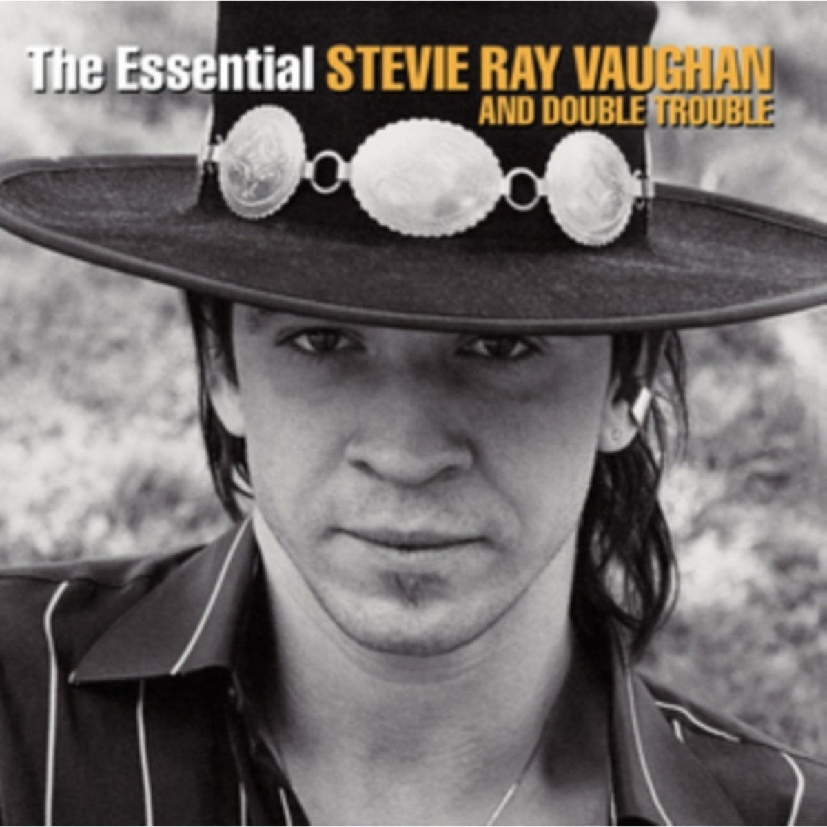 Essential Stevie Ray Vaughan And Double Troubl