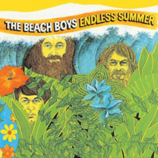Endless Summer & Sounds Of Summer: The Very Best Of The Beach Boys (Remastered/2LP) & Surfer Girl (75Th Anniversary) & Surfin' Safari (180G/Crystal Clear LP Vinyl)