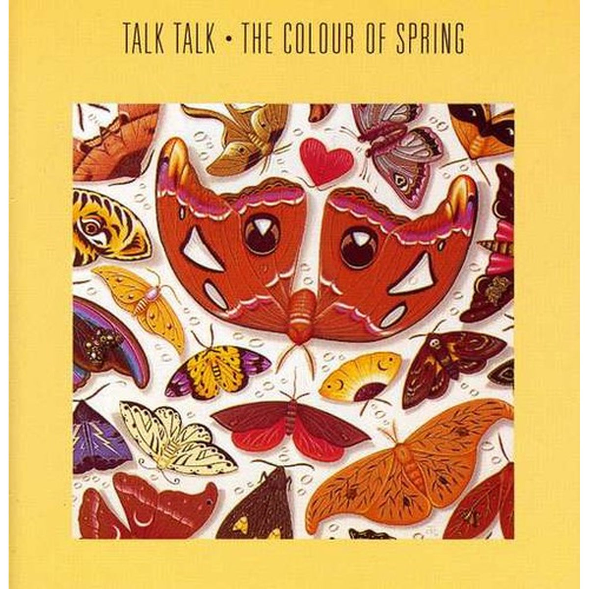 Colour Of Spring