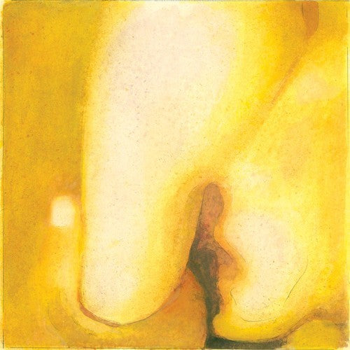 Pisces Iscariot & Siamese Dream & Gish & Adore (2LP) & Atum (4LP)