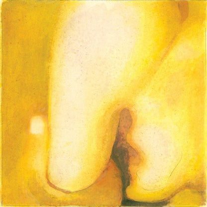 Pisces Iscariot & Siamese Dream & Gish & Adore (2LP) & Atum (4LP)