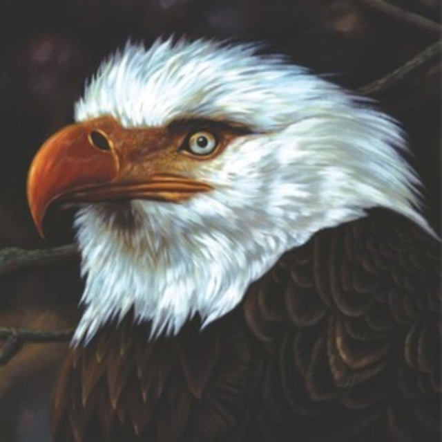 This LP Vinyl is brand new.Format: LP VinylThis item's title is: Hawk Is Howling (White Vinyl/Reissue/2LP)Artist: MogwaiBarcode: 5400863133771Release Date: 11/3/2023