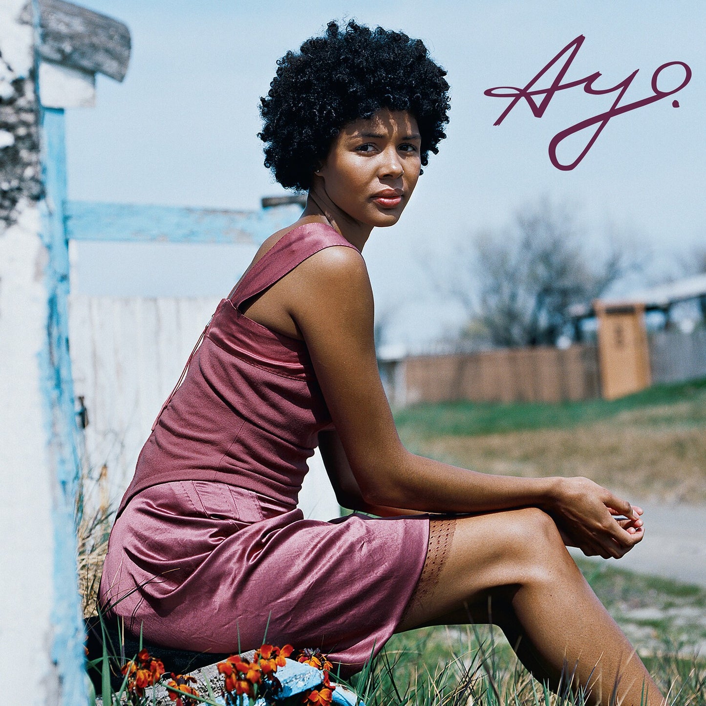 Joyful (Blue Vinyl/2LP)