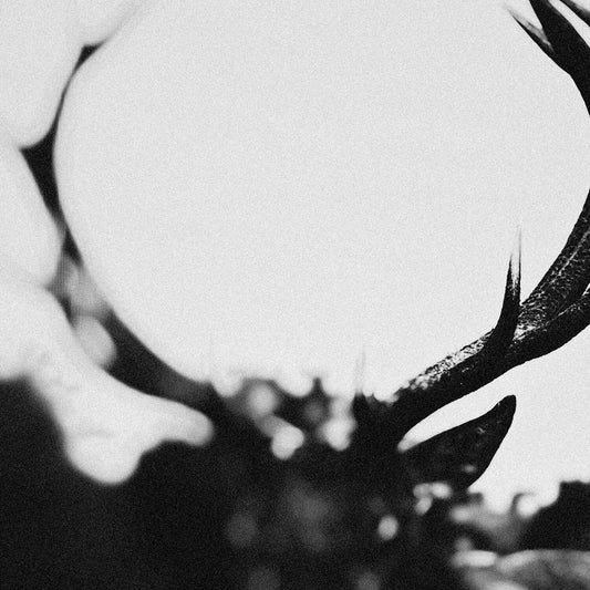 Ihsahn (Orchestral Version) (2LP)