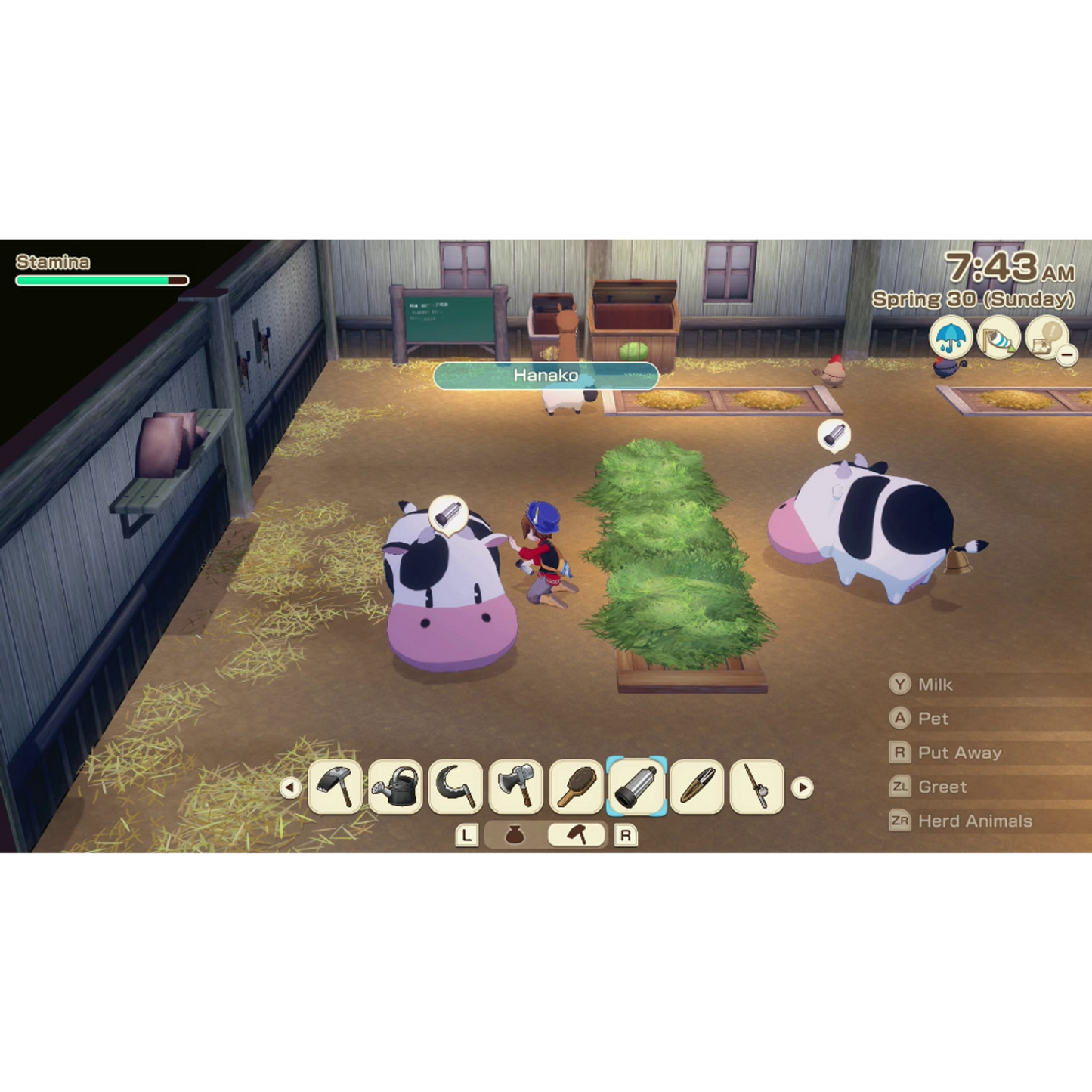 Story of Seasons: Grand Bazaar: Premium Edition - Switch 2