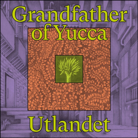 Grandfather Of Yucca