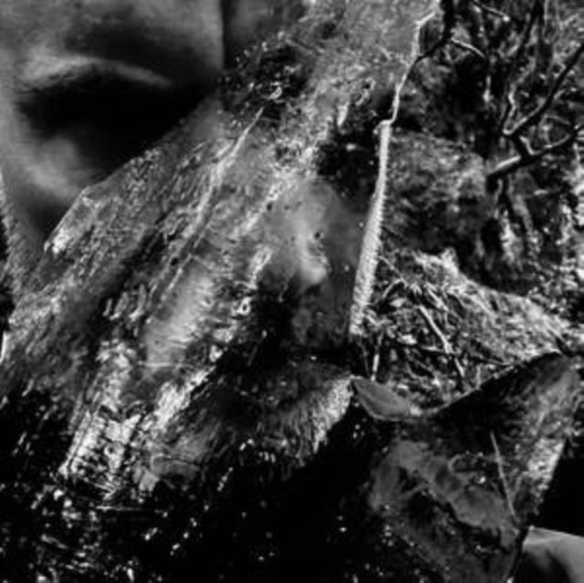 En Skog Av Nidstang (Clear LP Vinyl)