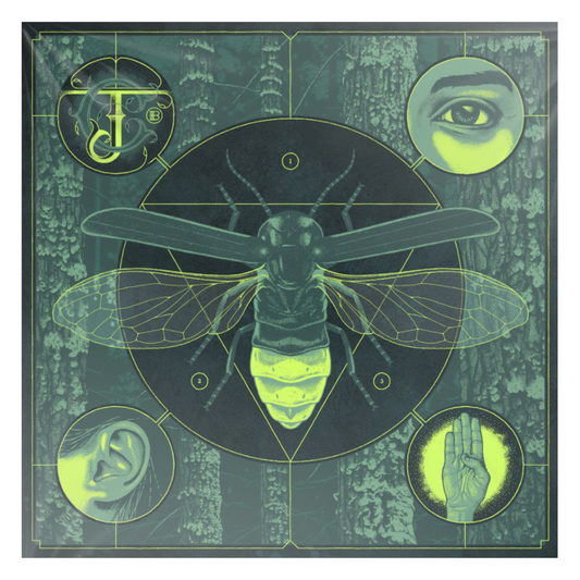 Brighten (180G/Electric Blue LP Vinyl/Glow-In-The-Dark Packaging)