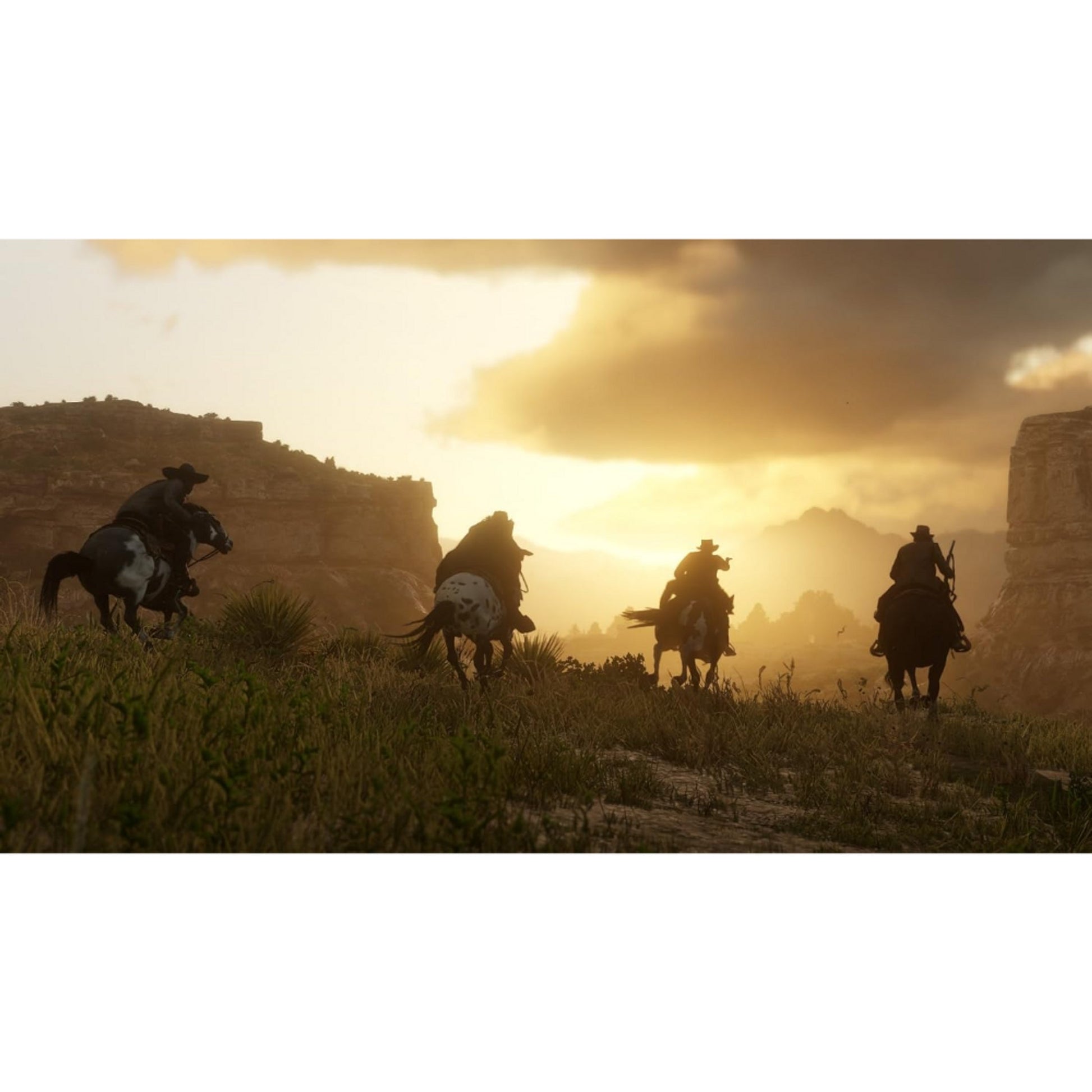 Red Dead Redemption II - PS4