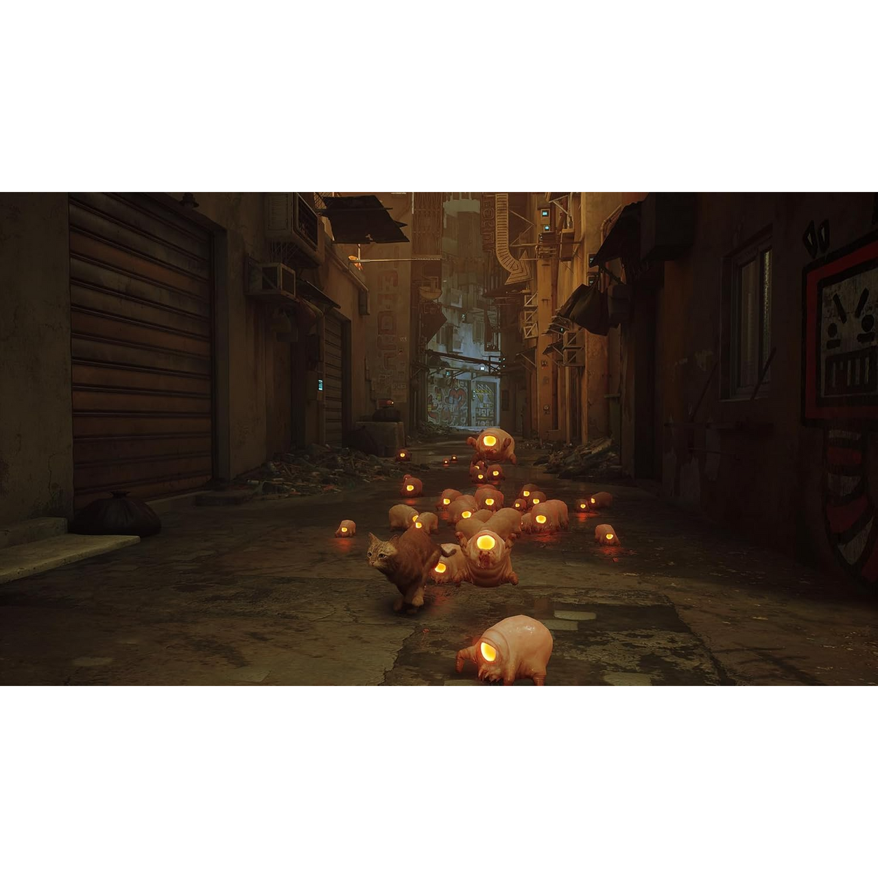 This is brand new.Lost, alone and separated from family, a stray cat must untangle an ancient mystery to escape a long-forgotten city. Stray is a third-person cat adventure game set amidst the detailed, neon-lit alleys of a decaying cybercity and the murky environments of its seedy underbelly.