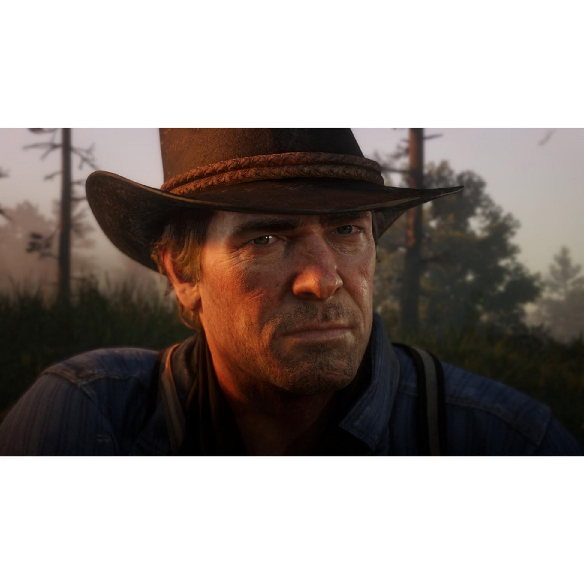 Red Dead Redemption II - PS4