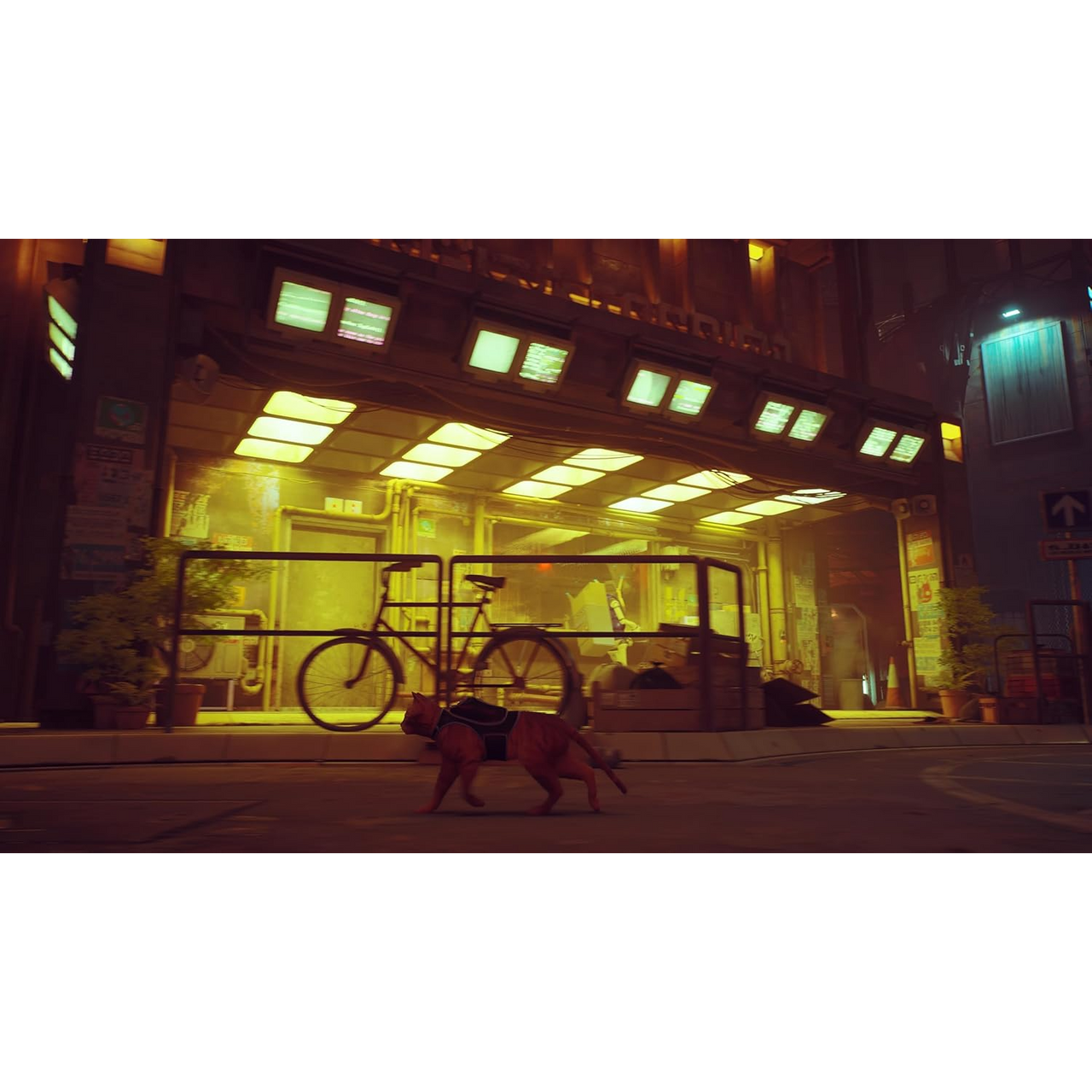 This is brand new.Lost, alone and separated from family, a stray cat must untangle an ancient mystery to escape a long-forgotten city. Stray is a third-person cat adventure game set amidst the detailed, neon-lit alleys of a decaying cybercity and the murky environments of its seedy underbelly.