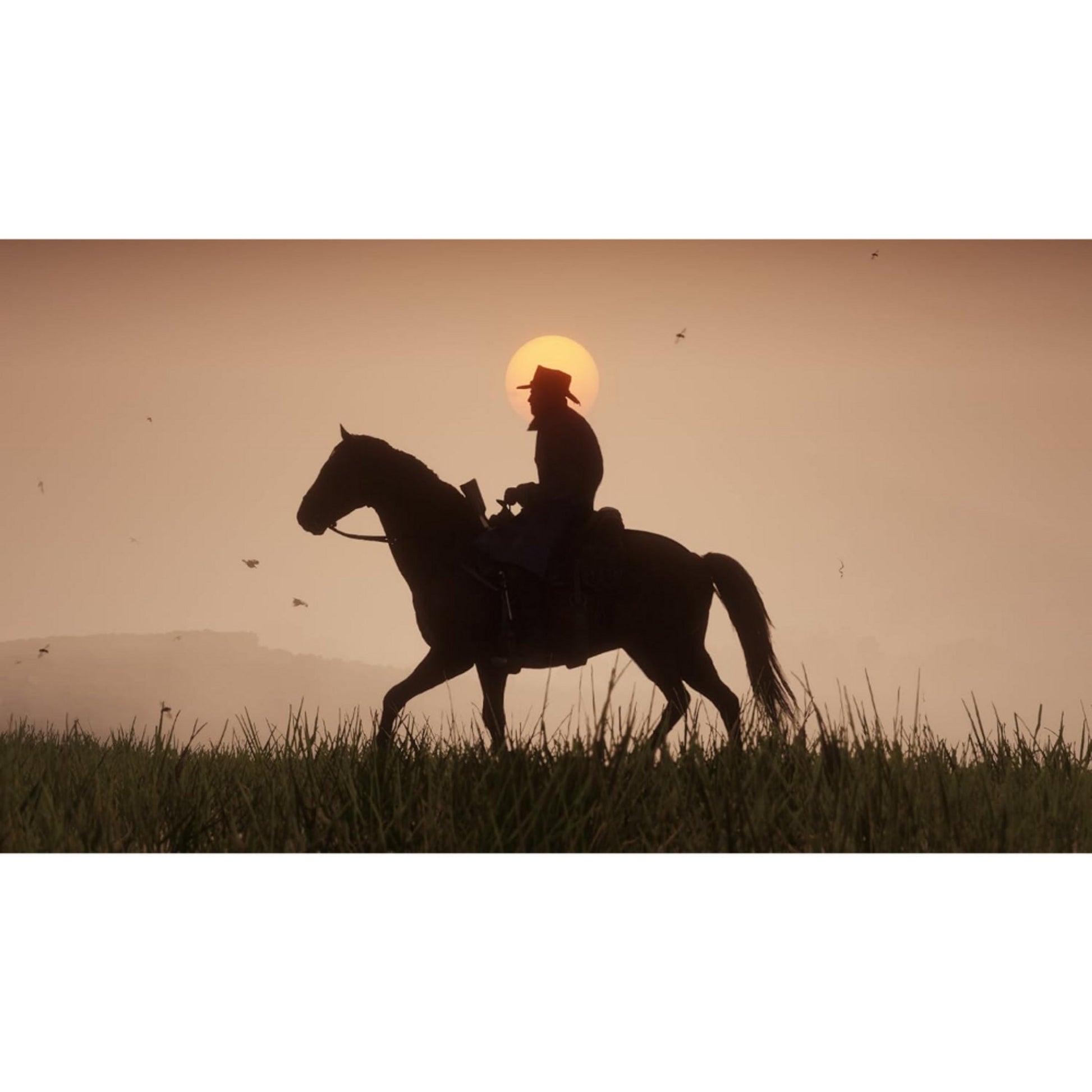 Red Dead Redemption II - PS4