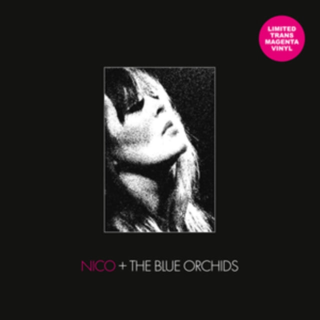 This LP Vinyl is brand new.Format: LP VinylThis item's title is: Live & In Session 1982Artist: Nico + The Blue OrchidsBarcode: 7427255404477Release Date: 8/22/2025