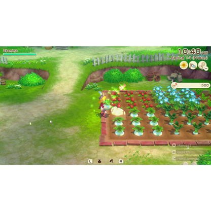 Story of Seasons: Grand Bazaar: Premium Edition - Switch 2