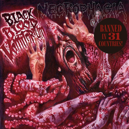 This is a 2 LP Vinyl SKU bundle.
1.This LP Vinyl is brand new.Format: LP VinylThis item's title is: Black Blood VomitoriumArtist: NecrophagiaBarcode: 8592735012356Release Date: 6/28/2024
2.This LP Vinyl is brand new.