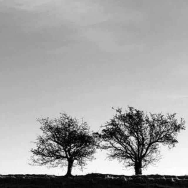 This CD is brand new.Format: CDMusic Style: Pop RockThis item's title is: Heightened Sense Of EverythingArtist: Jon AllenLabel: Monologue RecordsBarcode: 8717931346429Release Date: 8/25/2023