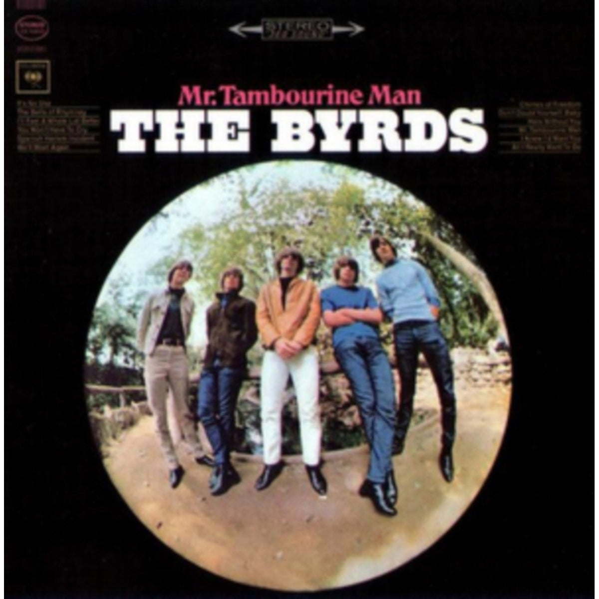 Mr Tambourine Man (180G)