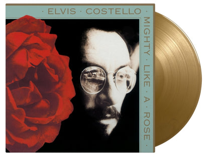 This is a 3 LP Vinyl SKU bundle.
1.This LP Vinyl is brand new.Format: LP VinylMusic Style: New WaveThis item's title is: Armed Forces (Includes Live At Hollywood High Ep) (180G)Artist: Elvis CostelloLabel: UMeBarcode: 602547331083Release Date: 11/6/2015
2.This LP Vinyl is brand new.