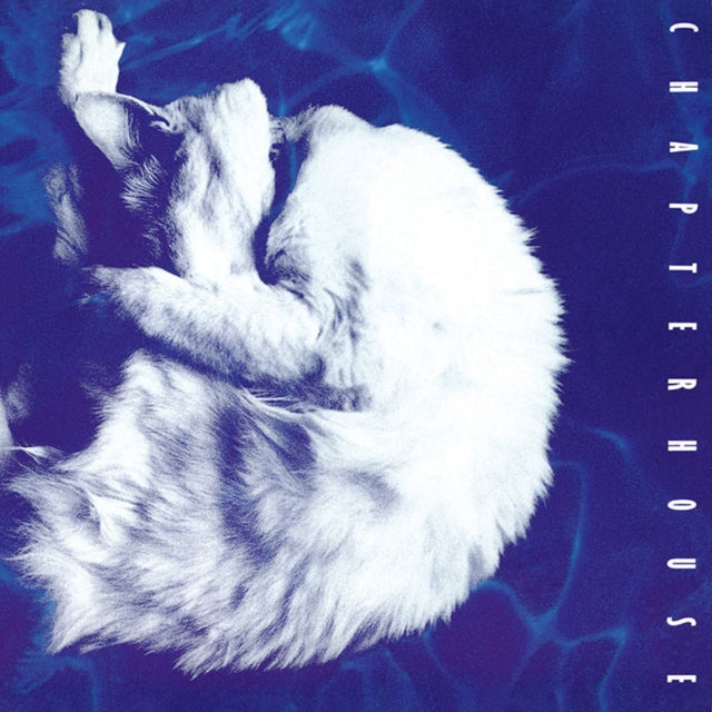 This LP Vinyl is brand new.Format: LP VinylThis item's title is: Whirlpool (White Marbled LP Vinyl/180G)Artist: ChapterhouseBarcode: 8719262034877Release Date: 3/29/2024