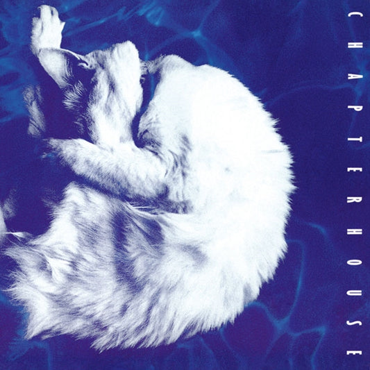 This LP Vinyl is brand new.Format: LP VinylThis item's title is: Whirlpool (White Marbled LP Vinyl/180G)Artist: ChapterhouseBarcode: 8719262034877Release Date: 3/29/2024
