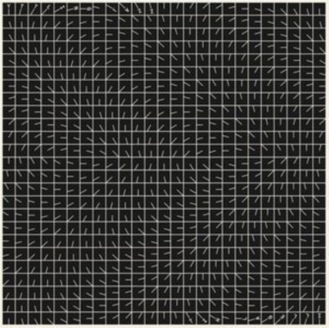 This LP Vinyl is brand new.Format: LP VinylThis item's title is: Illegal HitArtist: Yttling JazzBarcode: 8721215322191Release Date: 10/31/2025