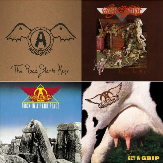 1971: The Road Starts Here & Toys In The Attic & Rock In A Hard Place & Get A Grip