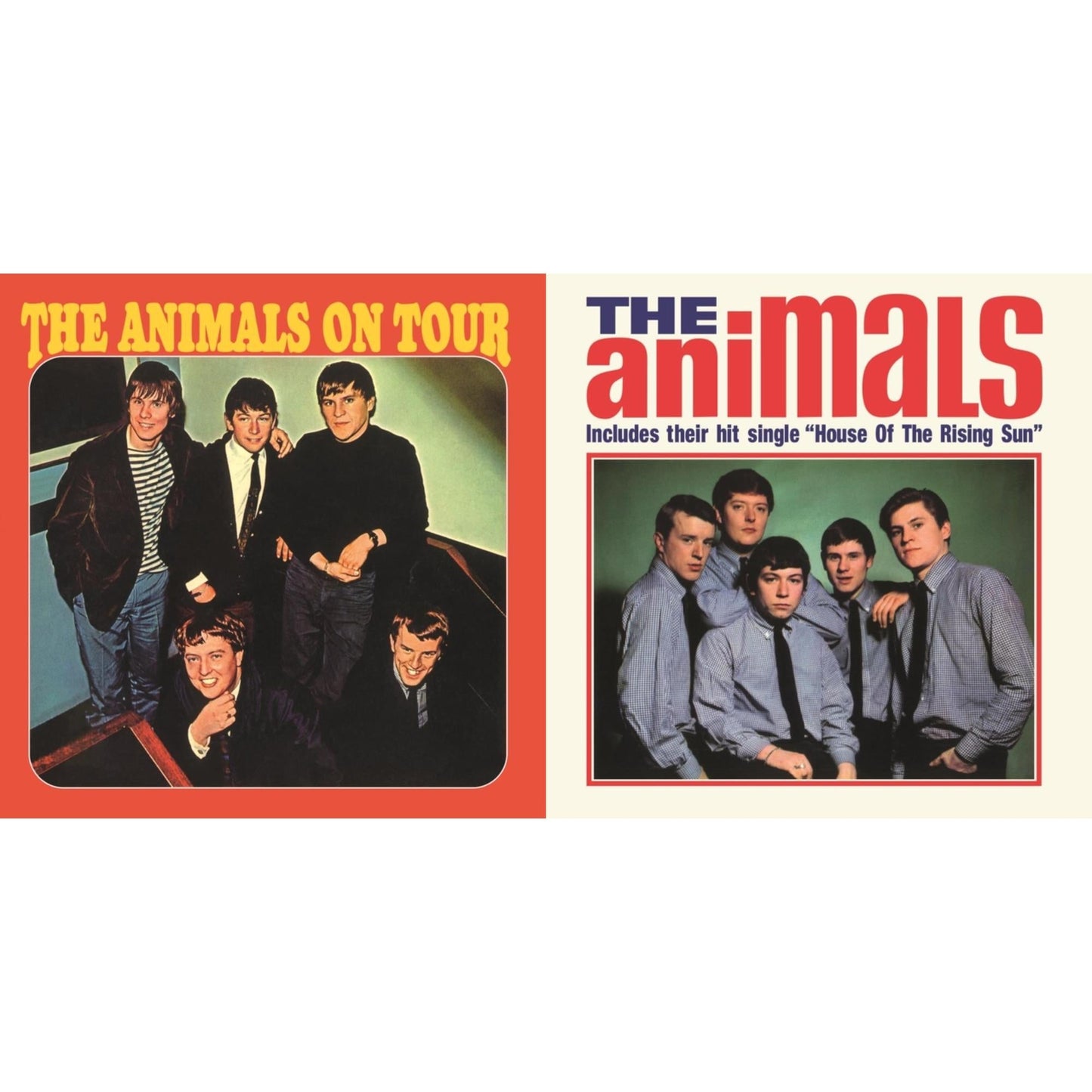 Animals & Animals On Tour