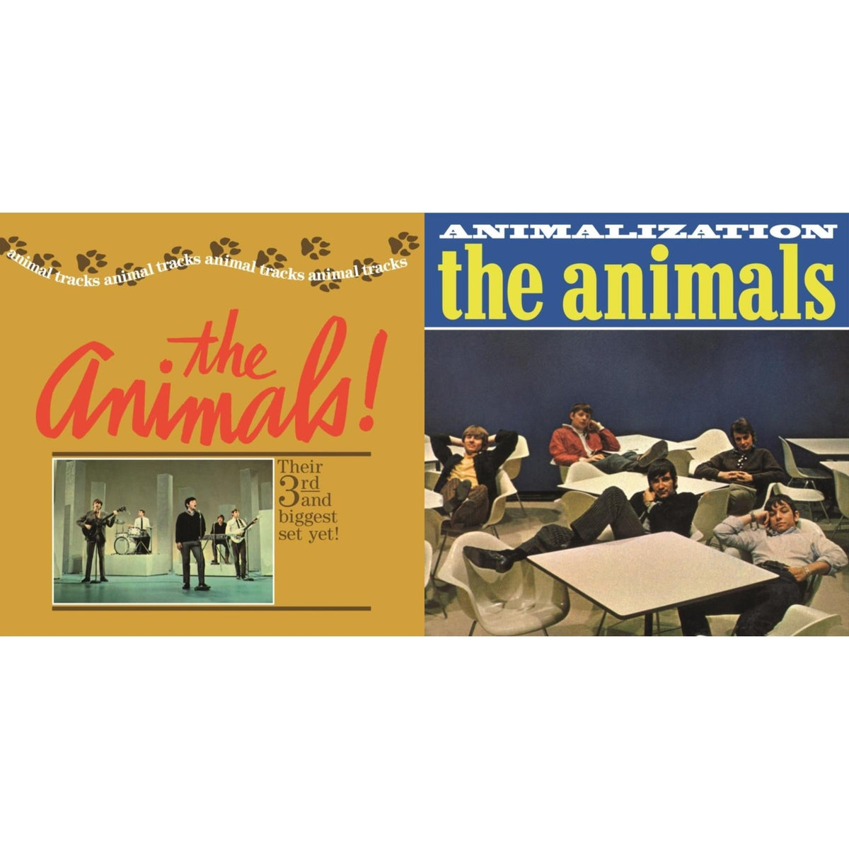 Animal Tracks & Animalization