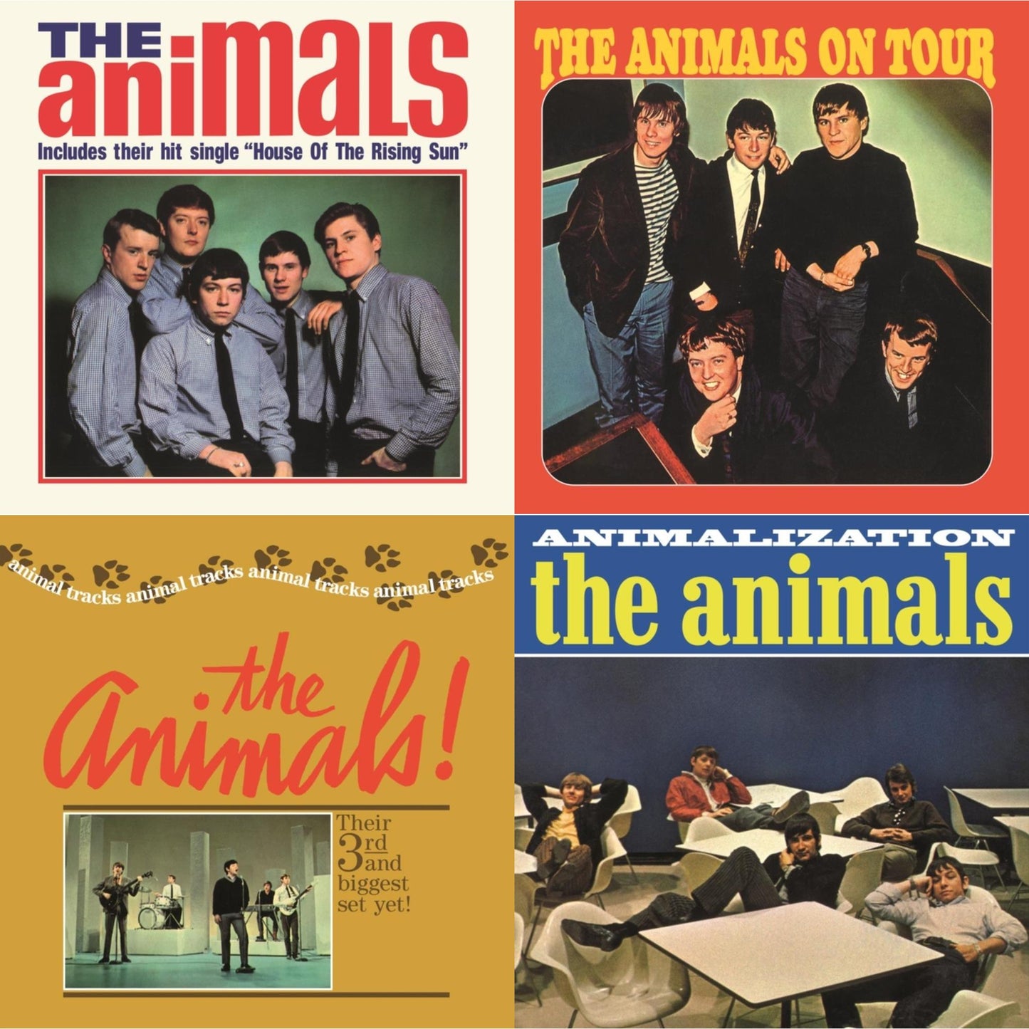 Animals & Animals On Tour & Animal Tracks & Animalization