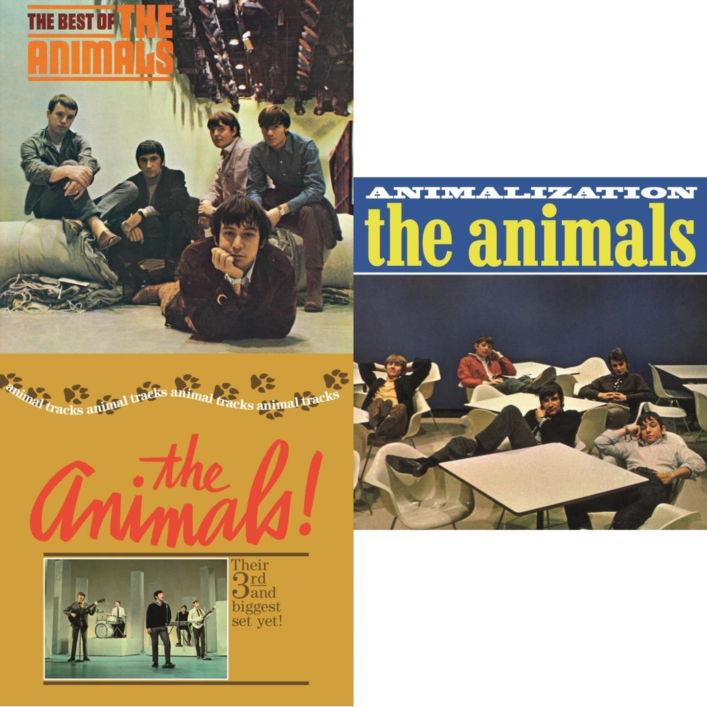 This is a 3 LP Vinyl SKU bundle.
1.This LP Vinyl is brand new.Format: LP VinylMusic Style: Blues RockThis item's title is: Best Of The AnimalsArtist: AnimalsLabel: ABKCOBarcode: 018771432418Release Date: 8/12/2014
2.This LP Vinyl is brand new.