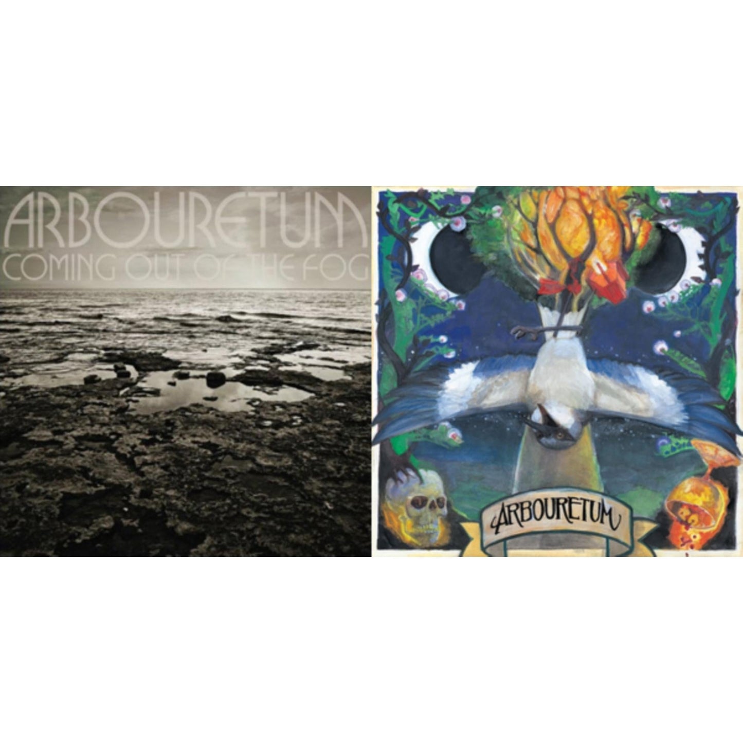 Rites Of Uncovering & Coming Out Of The Fog