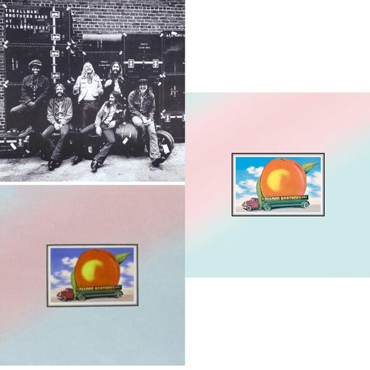 This is a 3 LP Vinyl SKU bundle.
1.This LP Vinyl is brand new.Format: LP VinylMusic Style: Blues RockThis item's title is: Live At Fillmore EastArtist: Allman Brothers BandLabel: MERCURYBarcode: 042282327314Release Date: 9/23/2008
2.This LP Vinyl is brand new.