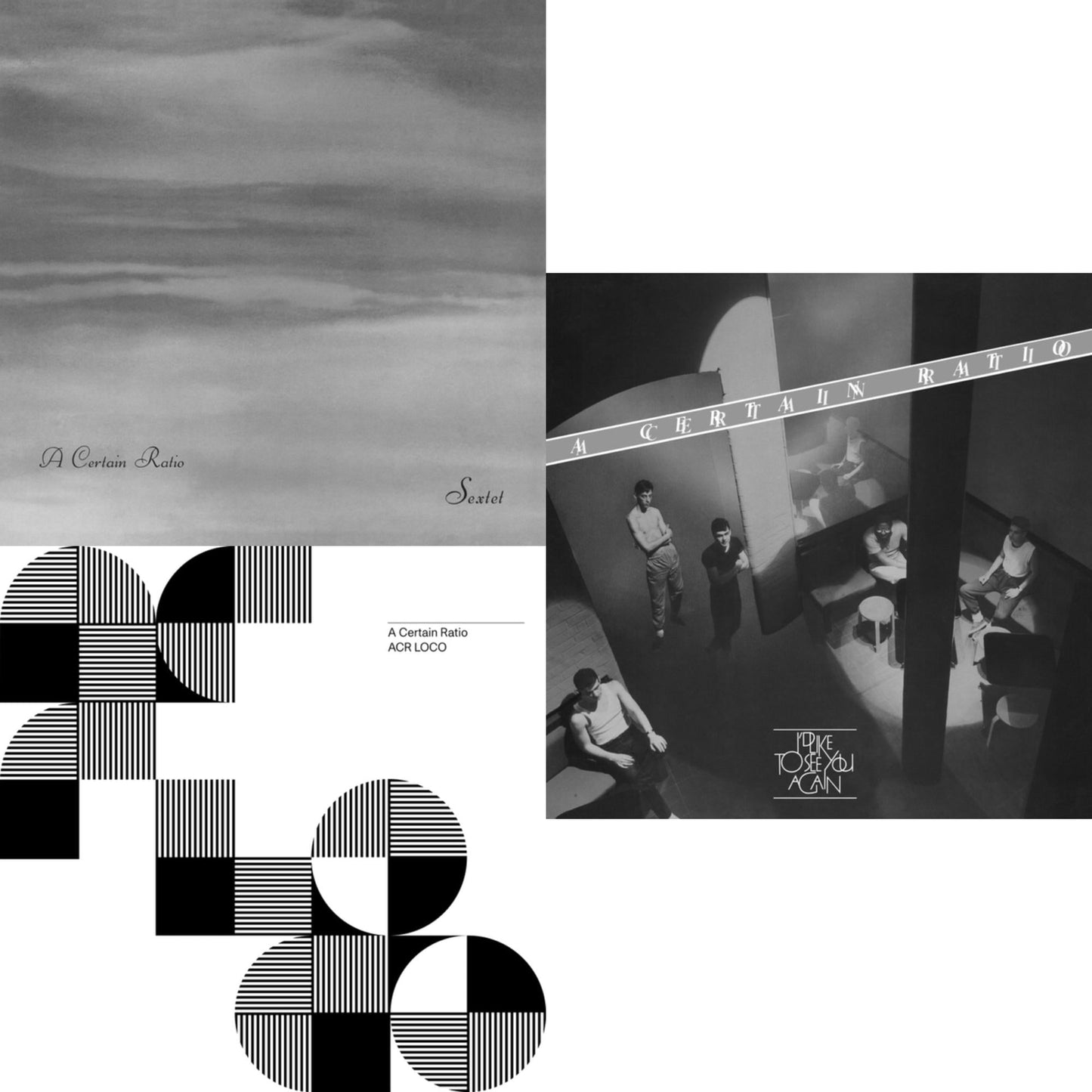 This is a 3 LP Vinyl SKU bundle.
1.This LP Vinyl is brand new.Format: LP VinylThis item's title is: Sextet (Limited Edition White LP Vinyl)Artist: A Certain RatioLabel: MUTEBarcode: 724596972564Release Date: 1/15/2021
2.This LP Vinyl is brand new.