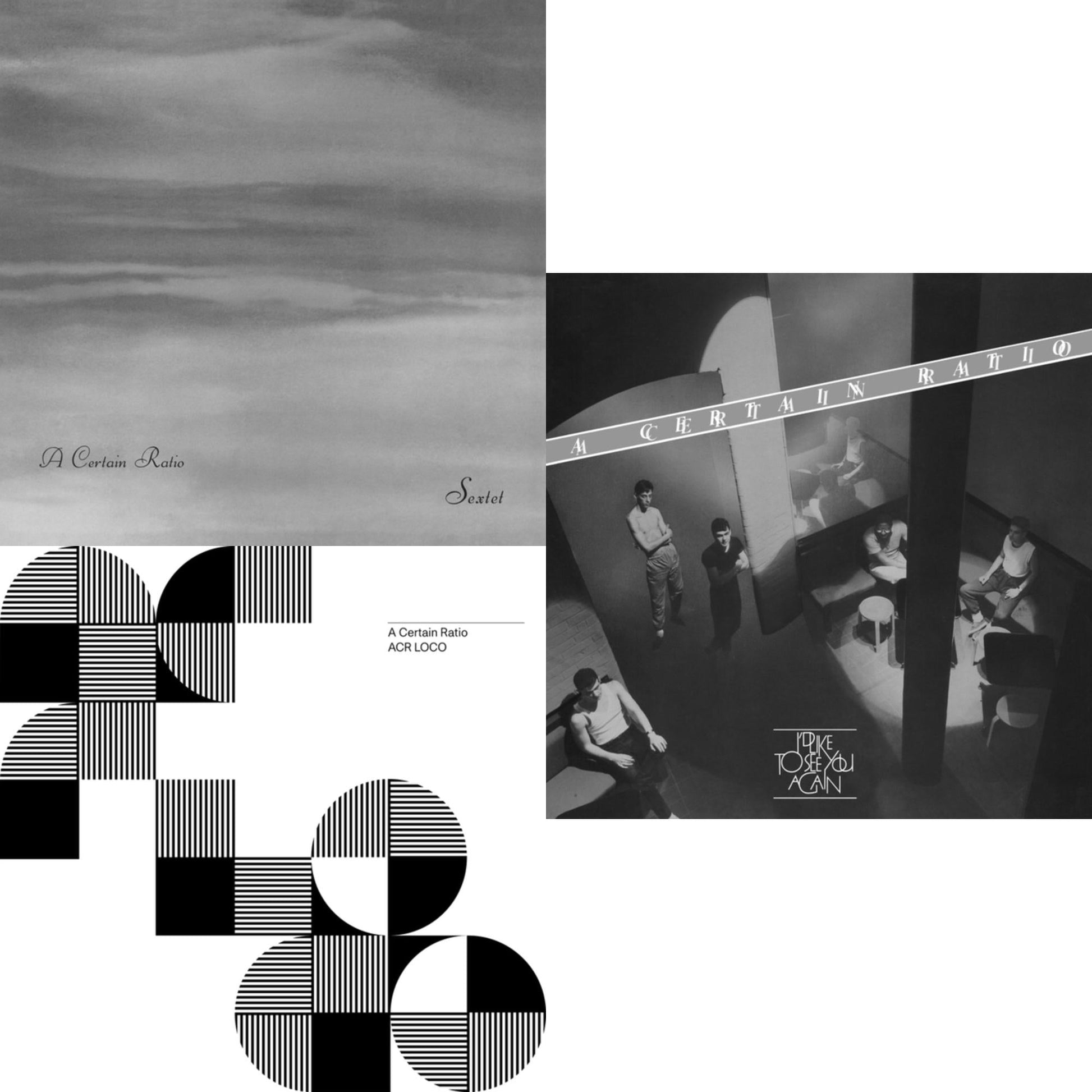 This is a 3 LP Vinyl SKU bundle.
1.This LP Vinyl is brand new.Format: LP VinylThis item's title is: Sextet (Limited Edition White LP Vinyl)Artist: A Certain RatioLabel: MUTEBarcode: 724596972564Release Date: 1/15/2021
2.This LP Vinyl is brand new.