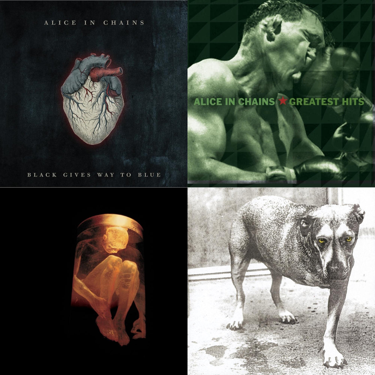 Black Gives Way To Blue & Greatest Hits & Nothing Safe: Best Of The Box & Alice In Chains