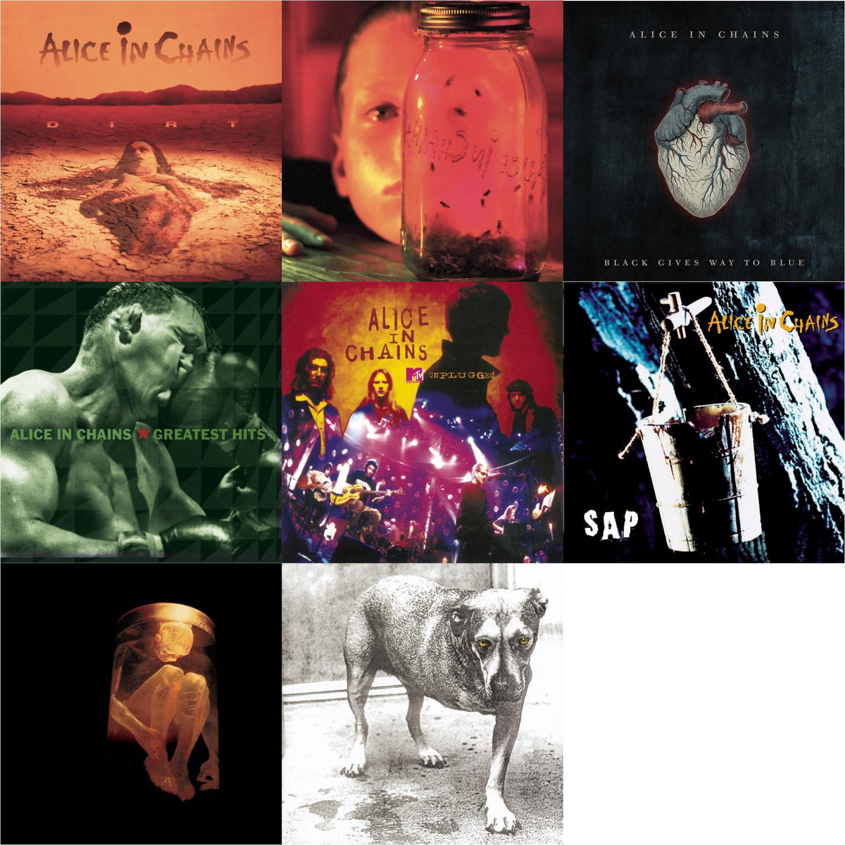 Dirt & Jar Of Flies & Black Gives Way To Blue & Greatest Hits & Unplugged & Sap & Nothing Safe: Best Of The Box & Alice In Chains
