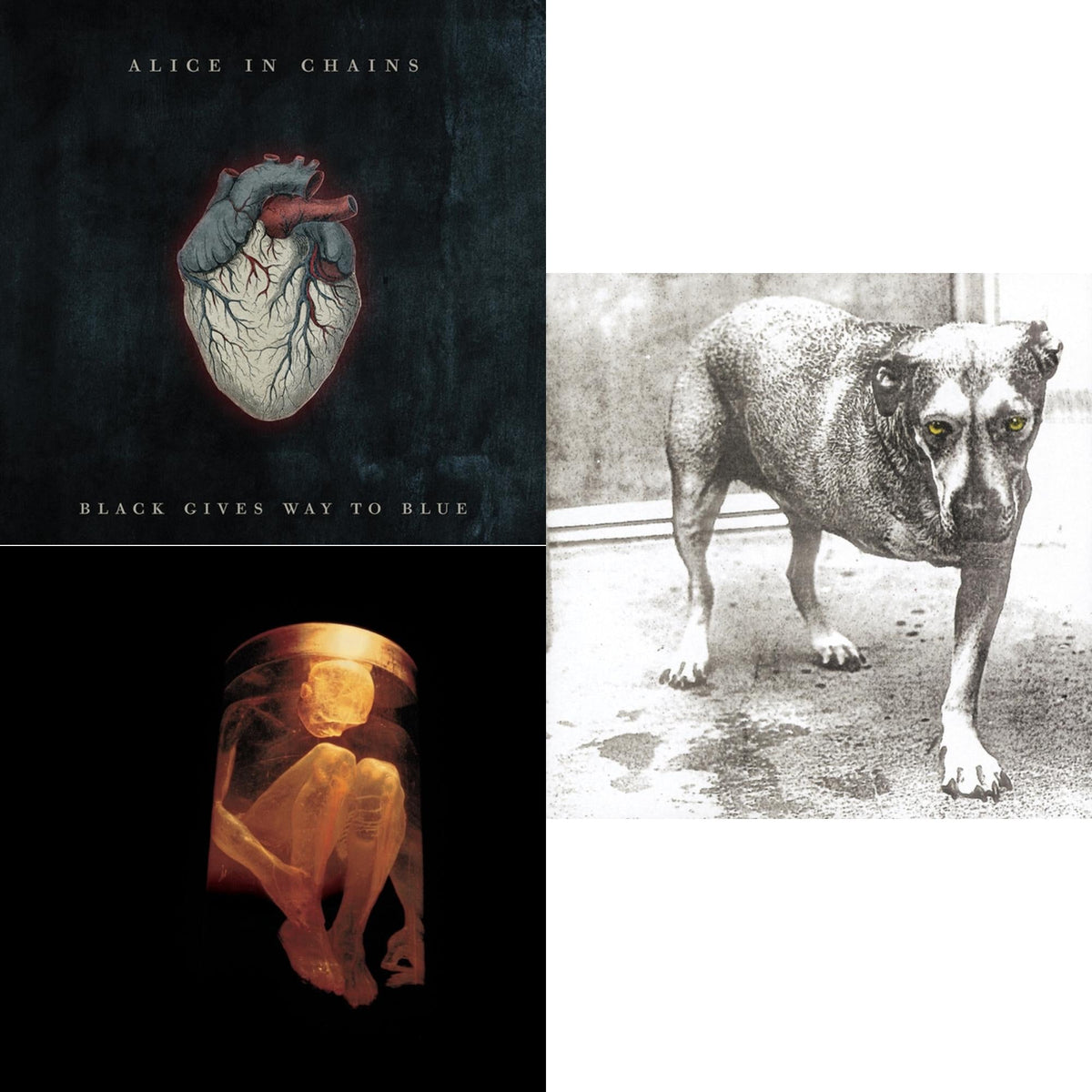 Black Gives Way To Blue & Nothing Safe: Best Of The Box & Alice In Chains