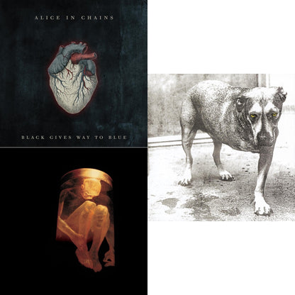 Black Gives Way To Blue & Nothing Safe: Best Of The Box & Alice In Chains