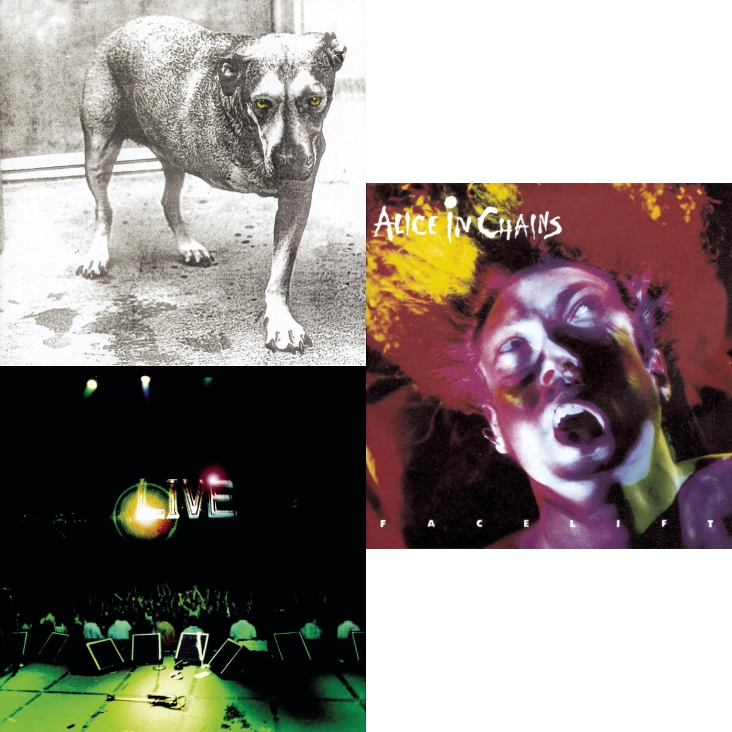 Live & Facelift & Alice In Chains