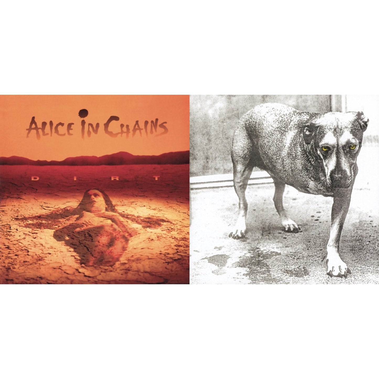 Dirt & Alice In Chains