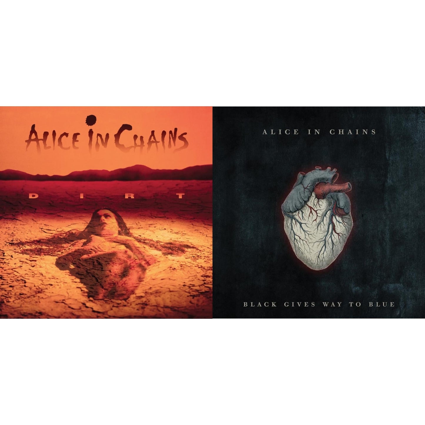 Dirt (2LP) & Black Gives Way To Blue (2LP)