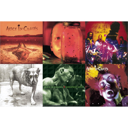 Dirt & Jar Of Flies & Greatest Hits & Unplugged & Facelift & Alice In Chains