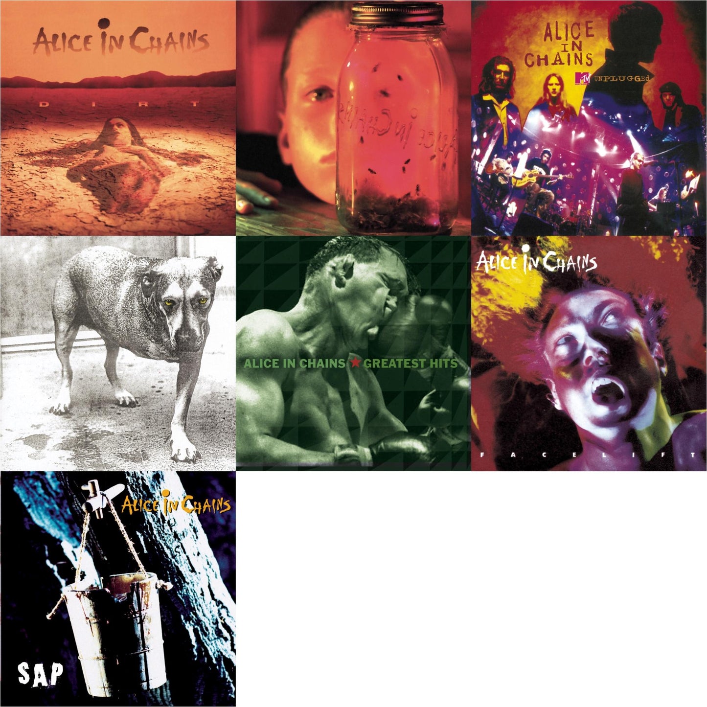Dirt & Jar Of Flies & Greatest Hits & Unplugged & Sap & Facelift & Alice In Chains