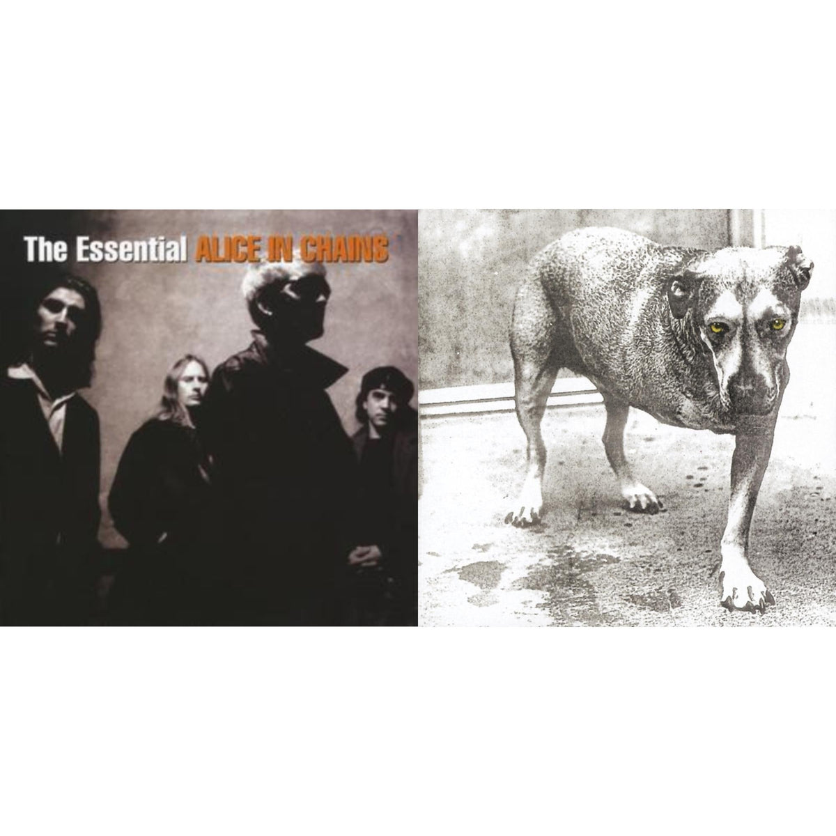 Essential Alice In Chains & Alice In Chains