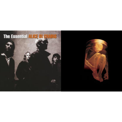 Essential Alice In Chains & Nothing Safe: Best Of The Box