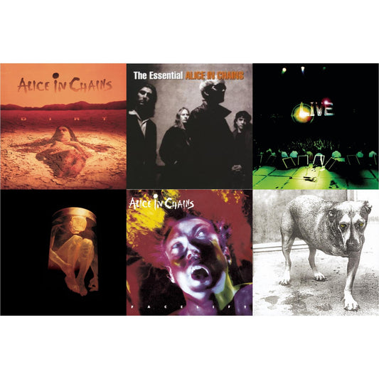 Dirt & Essential Alice In Chains & Live & Nothing Safe: Best Of The Box & Facelift & Alice In Chains