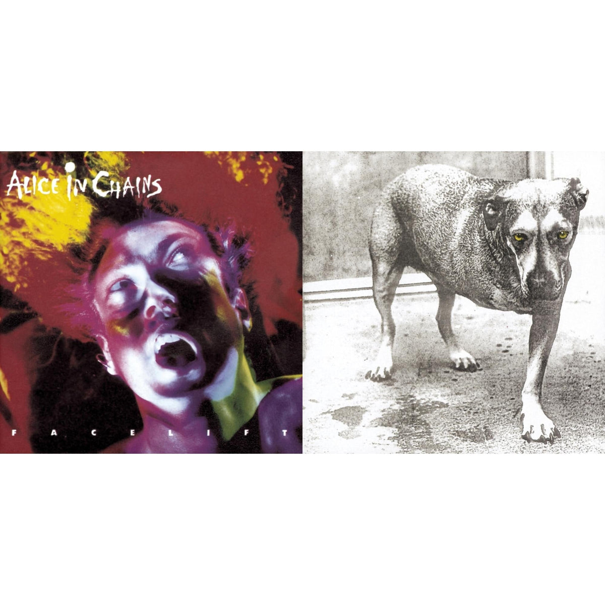 Alice In Chains - Facelift & Alice In Chains - CD Bundle